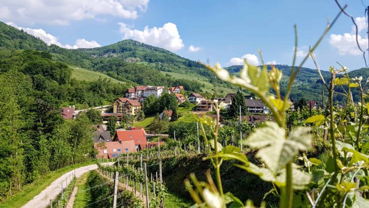 How to Spend a Few Days in Germany’s Enchanted Black Forest