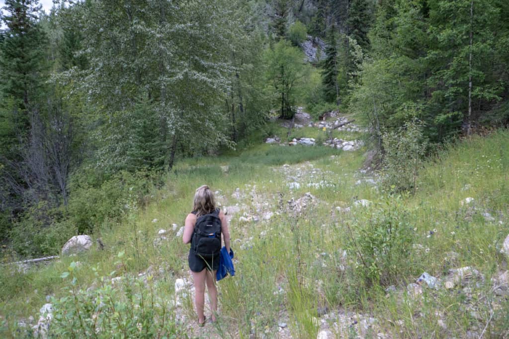 a woman with a backpack hiking in the middle of a forest