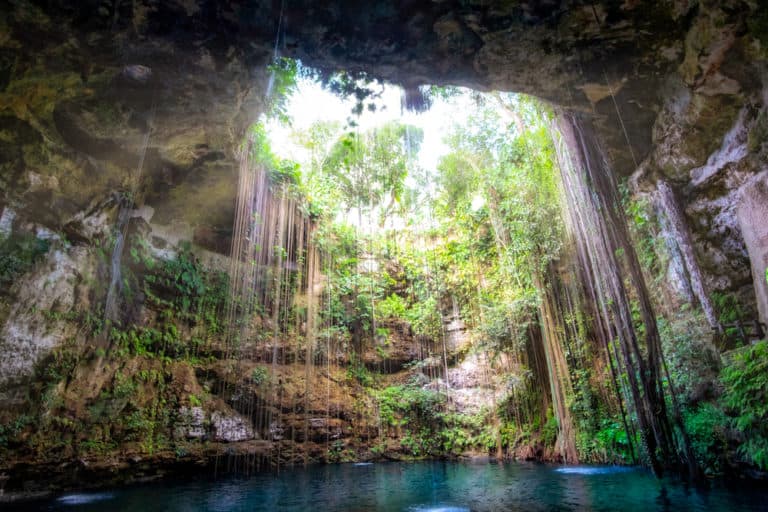 10 Must-See Mayan Riviera Cenotes Near Playa del Carmen and Tulum