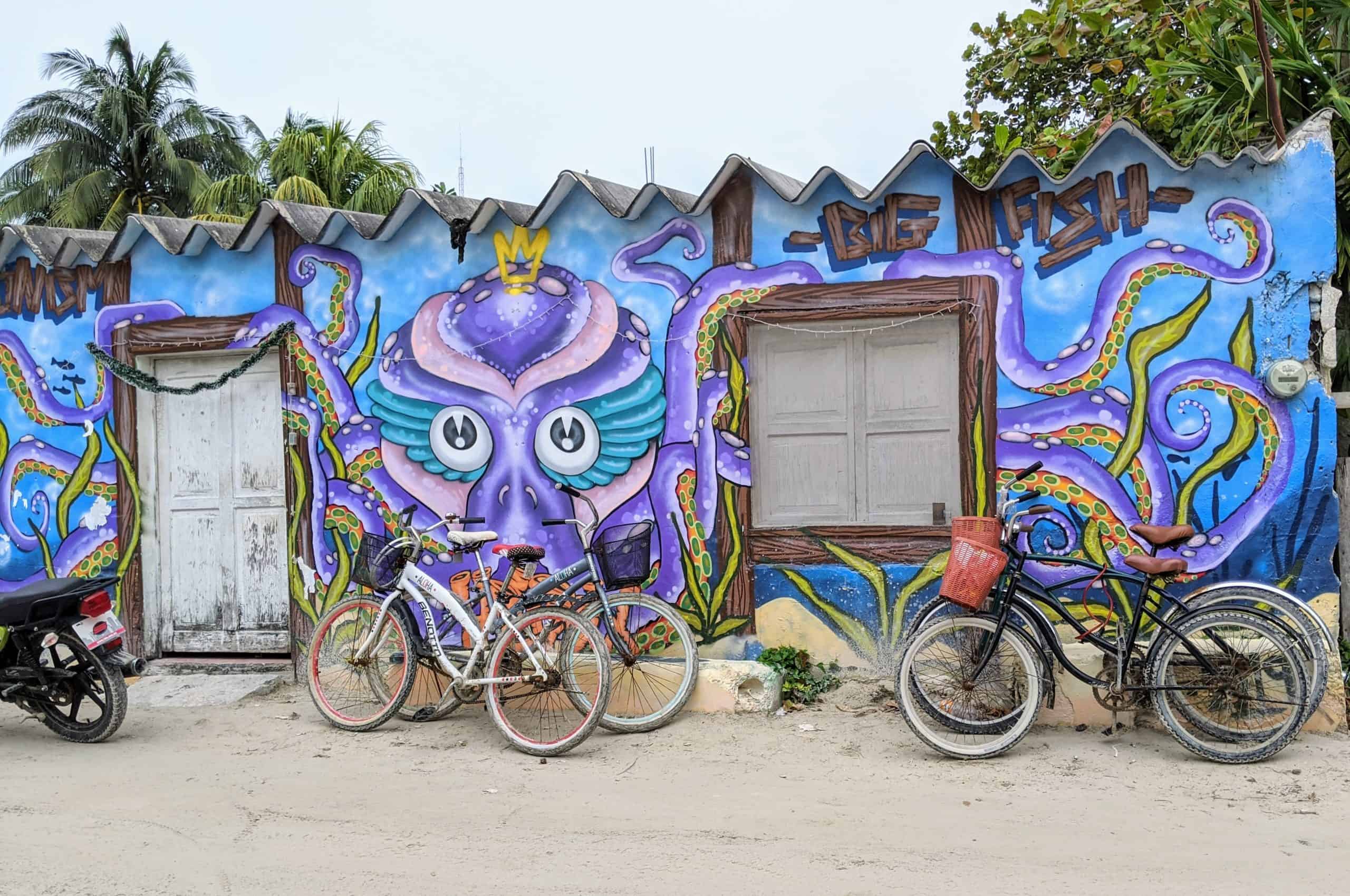 12 Things to Do in Holbox for the Ultimate Mexico Island Vacation