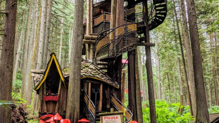 The Enchanted Forest Revelstoke BC: What It’s Like Visiting This Whimsical World