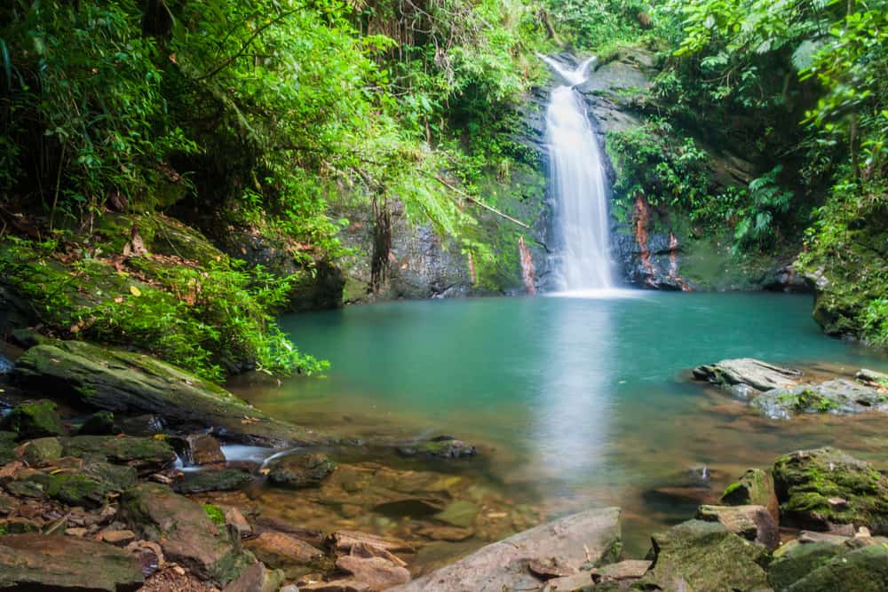 a jungle waterfall  falls into a basin of turquoise water surrounded by lush greenery