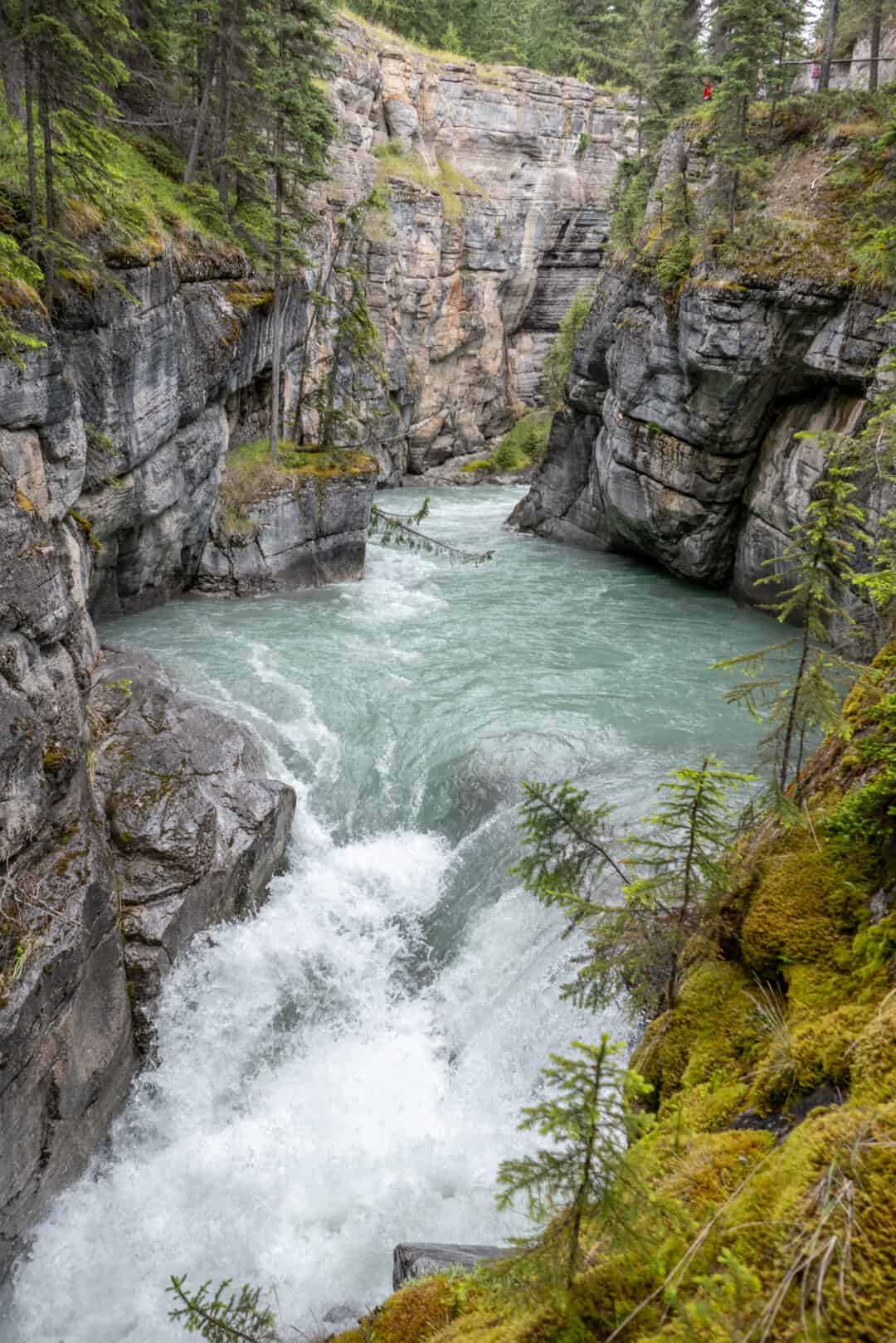 12 Outstanding Hikes In Jasper With The Best Views and Minimal Effort