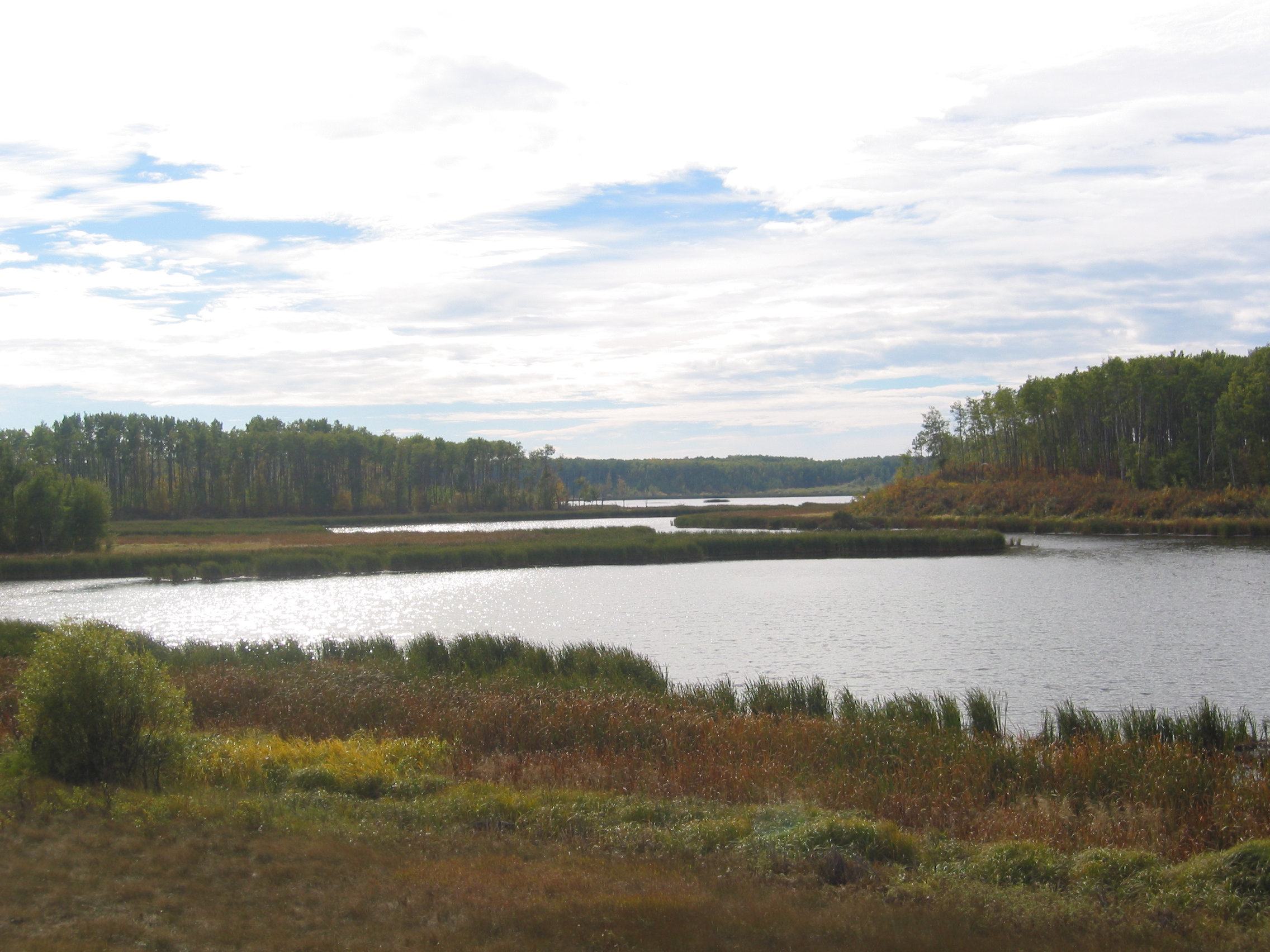 8 Scenic Hikes Near Edmonton For That Fresh Air Fix