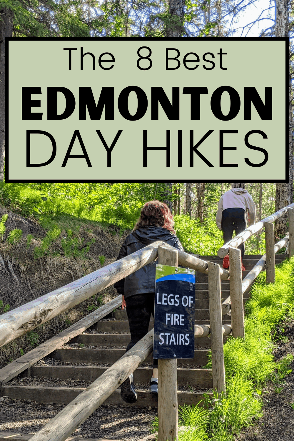 8 Scenic Hikes Near Edmonton For That Fresh Air Fix