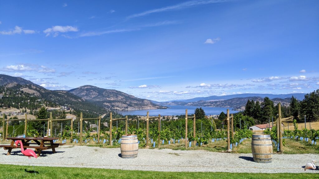 wine barrels and a picnic table sit in a vineyard overlooking the valley and lake