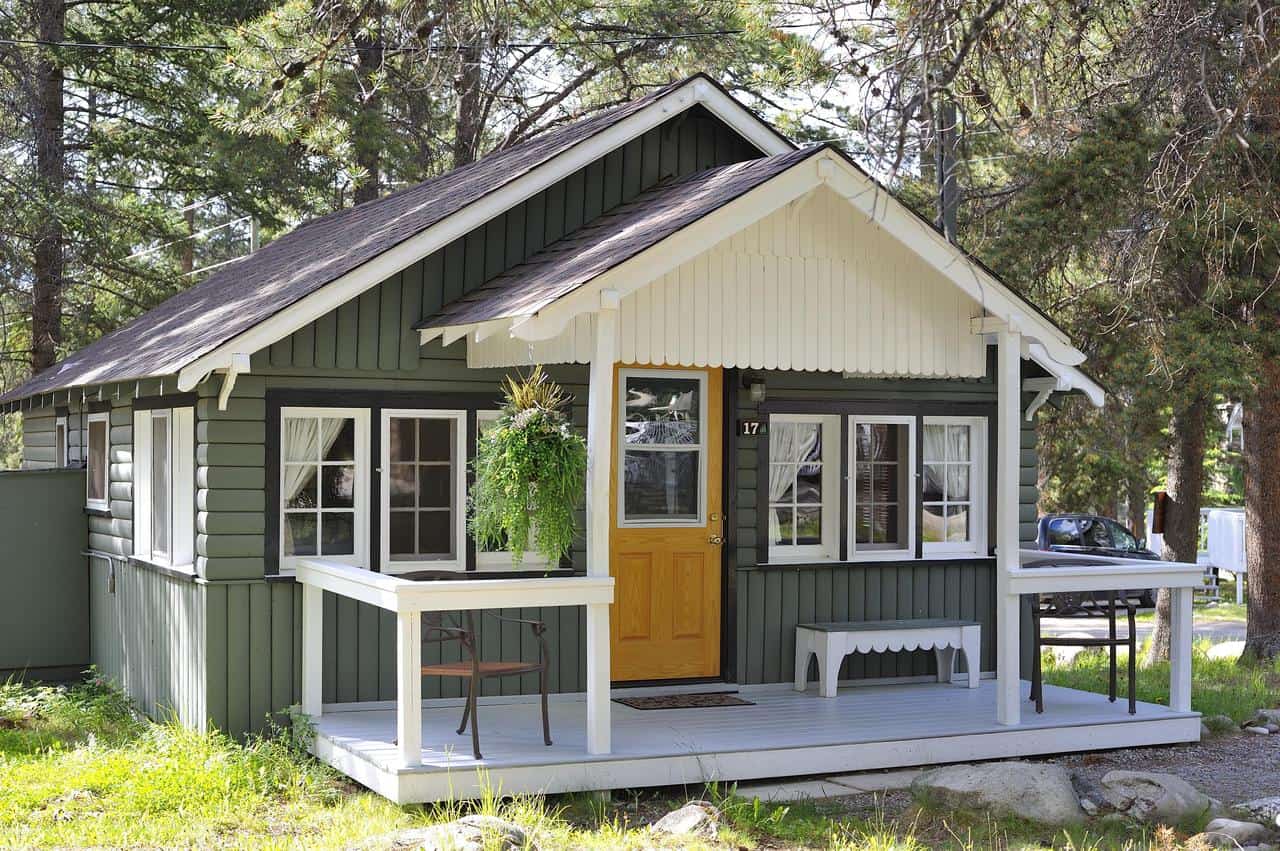 Dog Friendly Jasper Everything You Need to Know