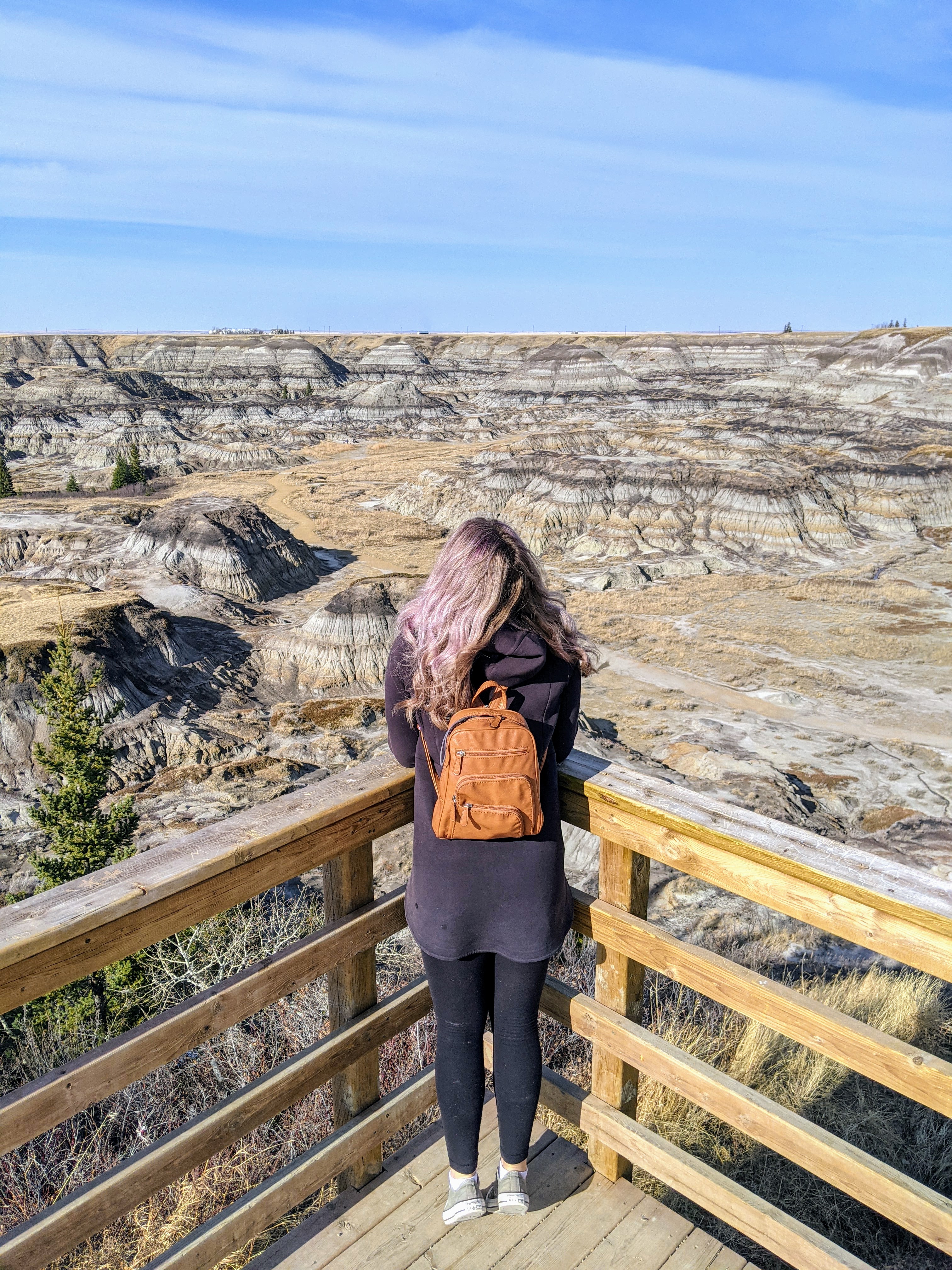 a girl stands on an observation platform overlooking a canyon