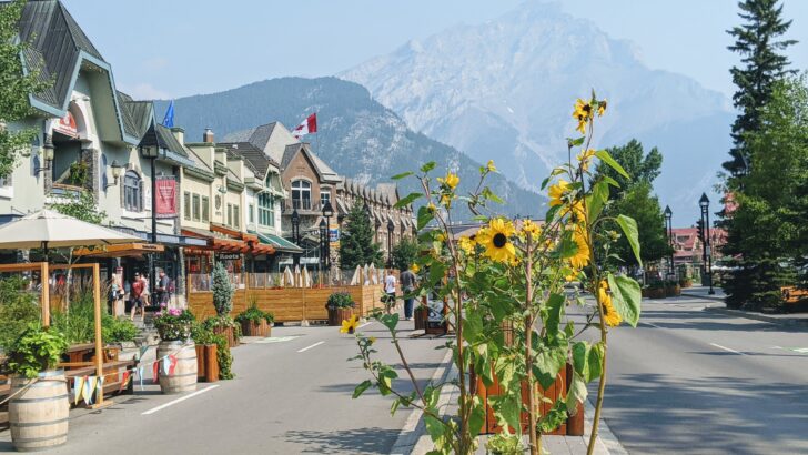 Pet Friendly Banff: Where to Eat, Stay & Play with Your Dog