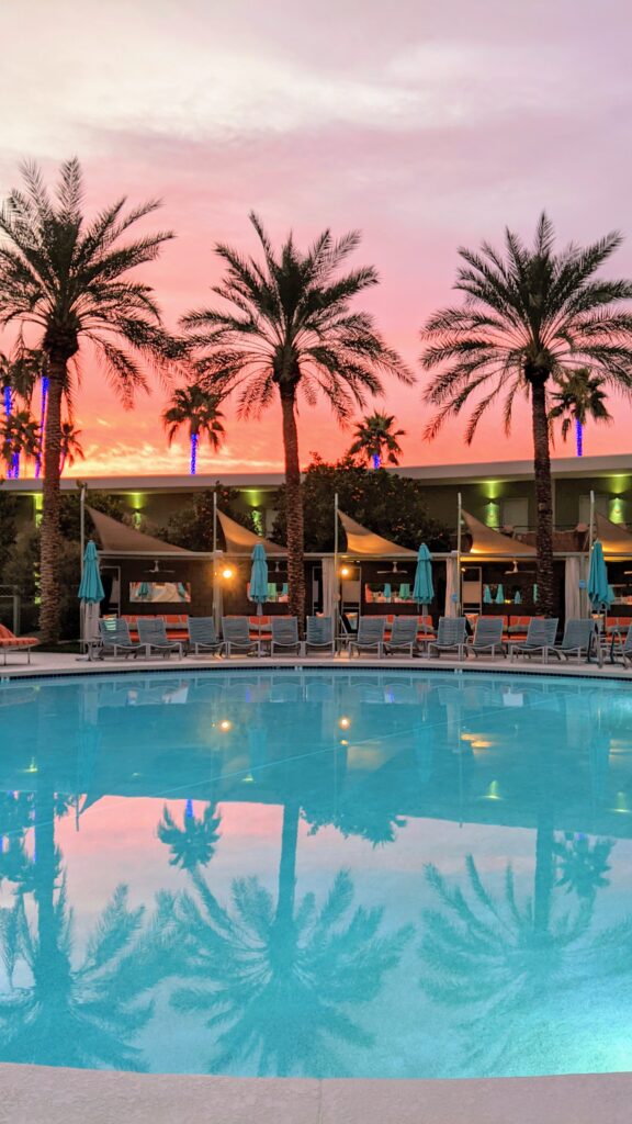 palm trees at sunrise in a pink sky cast a reflection into a pool