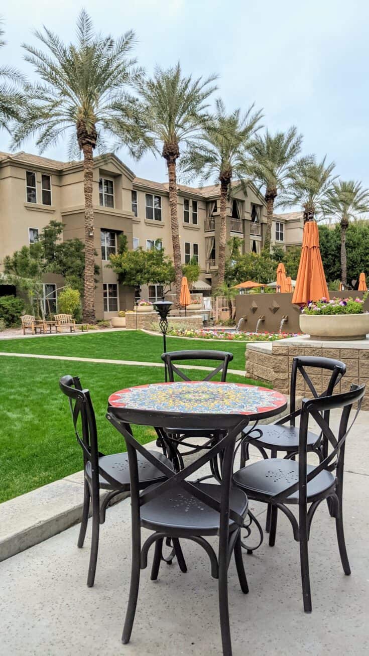 Best Things To Do In Scottsdale With Dogs Super Dog Friendly City   Sonesta Suites Scottsdale Courtyard 735x1307 