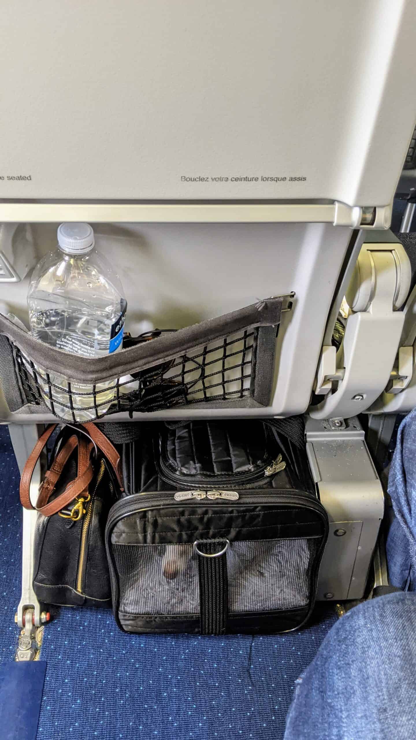 Flying With a Dog in the Cabin on WestJet Tips From our Experience