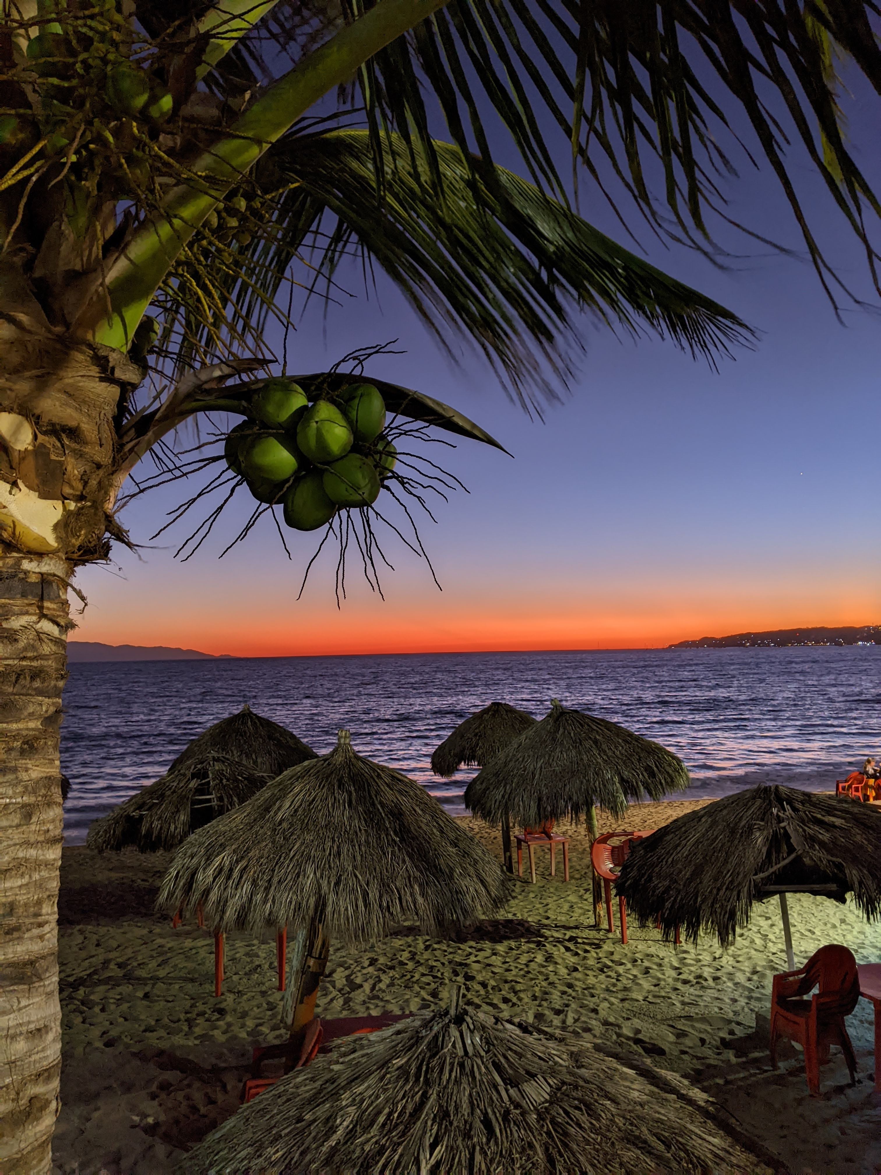 sunset over the water with coconuts in the foregound