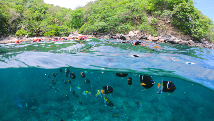 Highest Rated Puerto Vallarta Snorkeling Tours to Book in 2023/24